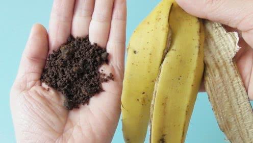国产香蕉皮视频,揭秘香蕉皮背后的故事与用途