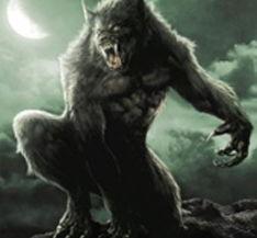 97国产狼人在线视频,揭秘神秘狼人世界