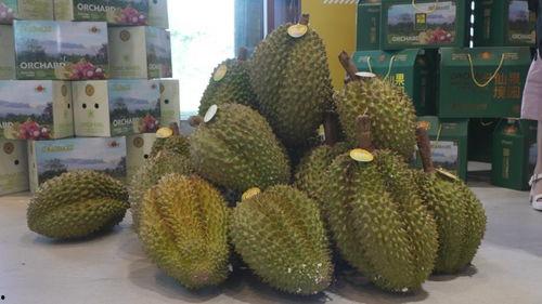 国产榴莲真实情况视频,本土种植，美味来袭