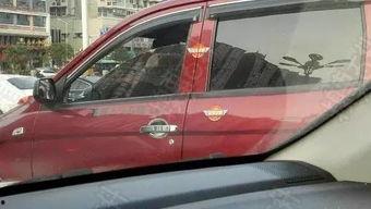 国产淑女车测评视频,优雅与品质的完美融合