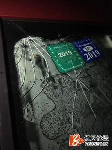 国产最大冰刨视频,冰雕艺术新篇章