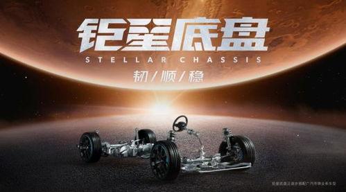 国产影豹素材视频下载软件,轻松获取精彩瞬间