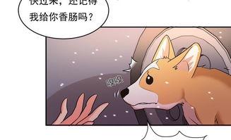 国产动漫 舔狗视频,揭秘现代都市情感困境