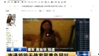 国产成人国语理论片视频,探索人性与情感深处的奥秘
