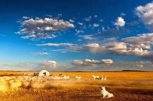 靑草原国产免费视频下载